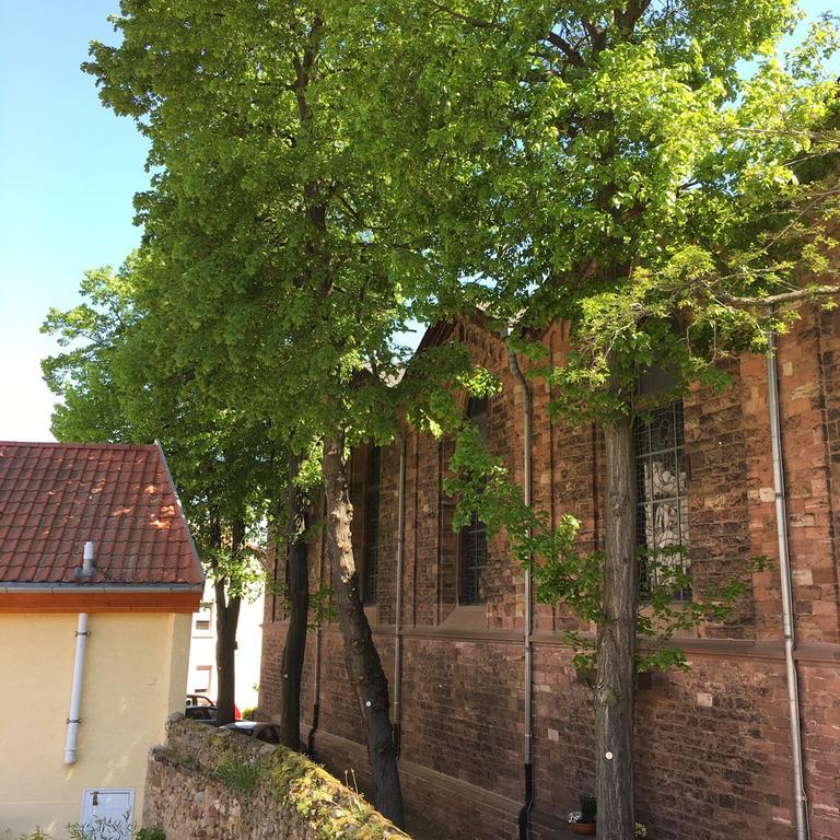 Ferienhaus Zur Mainpforte Moguncja Zewnętrze zdjęcie